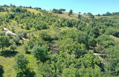 Landhaus kaufen Perugia, Umbrien, Foto 8/23