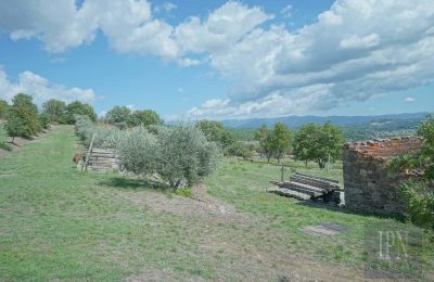 Historische Villa kaufen Monterchi, Toskana, Foto 22/24