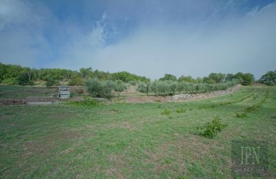 Historische Villa kaufen Monterchi, Toskana, Foto 23/24