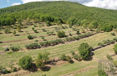 Historische Villa kaufen Monterchi, Toskana, Foto 24/24
