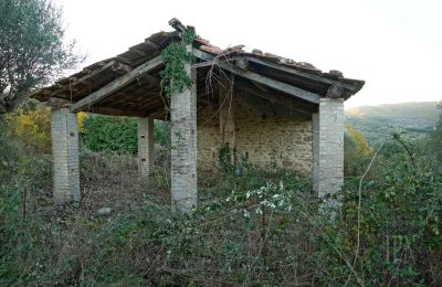 Landhaus kaufen 06019 Umbertide, Umbrien, Foto 10/14