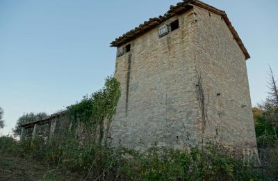 Landhaus kaufen 06019 Umbertide, Umbrien, Foto 11/14