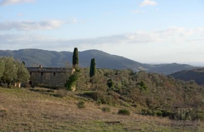 Landhaus kaufen 06073 Corciano, Umbrien, Foto 20/42