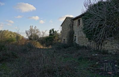 Landhaus kaufen 06073 Corciano, Umbrien, Foto 26/42