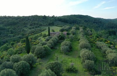 Landhaus kaufen 06073 Corciano, Umbrien, Foto 6/42