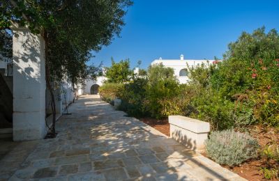 Landhaus kaufen Ostuni, Strada Provinciale 21, Apulien, Foto 11/33