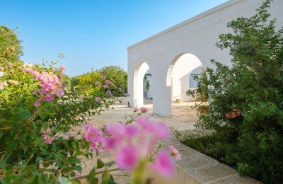 Landhaus kaufen Ostuni, Strada Provinciale 21, Apulien, Foto 9/33