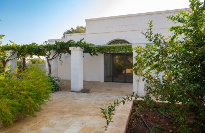 Landhaus kaufen Ostuni, Strada Provinciale 21, Apulien, Foto 31/33