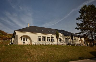 Herrenhaus/Gutshaus kaufen Trenčiansky kraj, okres Trenčín, Melčice - Lieskové, Melčice, Trentschiner Landschaftsverband, Foto 26/27