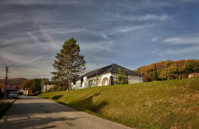 Herrenhaus/Gutshaus kaufen Trenčiansky kraj, okres Trenčín, Melčice - Lieskové, Melčice, Trentschiner Landschaftsverband, Foto 9/27