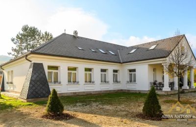 Herrenhaus/Gutshaus kaufen Trenčiansky kraj, okres Trenčín, Melčice - Lieskové, Melčice, Trentschiner Landschaftsverband, Foto 3/27