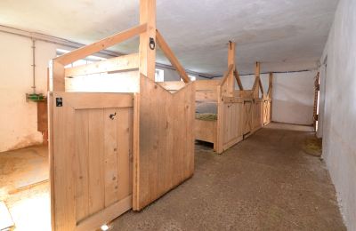 Landhaus kaufen 91788 Pappenheim, Bayern, Pferdeboxen