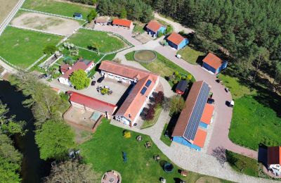 Historische Immobilien, Tradition trifft auf Unternehmergeist: Voll betriebener Gutshof mit Hotel, Reitstall und Bauland nahe Posen