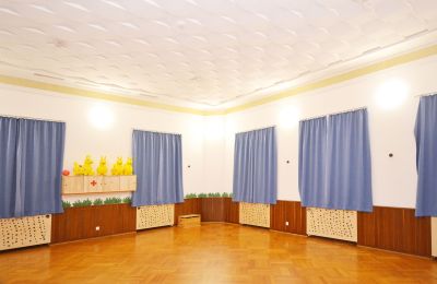 Schloss kaufen 92237 Sulzbach-Rosenberg, Schlossbergweg  10, Bayern, Großer Saal