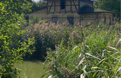 Herrenhaus/Gutshaus kaufen 17139 Malchin, Mecklenburg-Vorpommern, Federviehhaus am See
