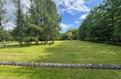 Landhaus kaufen Westpommern, Foto 6/26