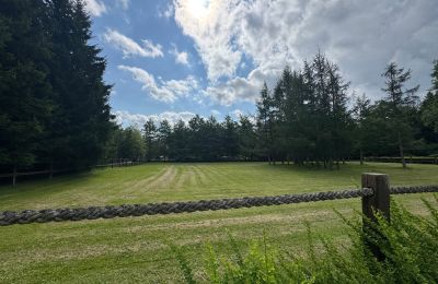 Landhaus kaufen Westpommern, Foto 8/26
