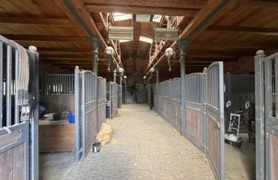 Landhaus kaufen Westpommern, Foto 10/26