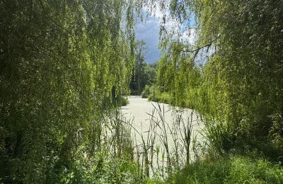 Landhaus kaufen Westpommern, Foto 14/26
