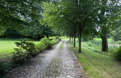 Landhaus kaufen Westpommern, Foto 17/26