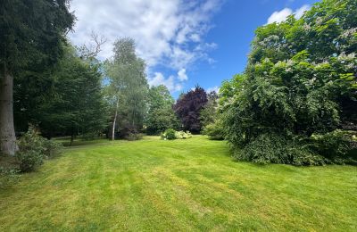 Landhaus kaufen Westpommern, Foto 18/26