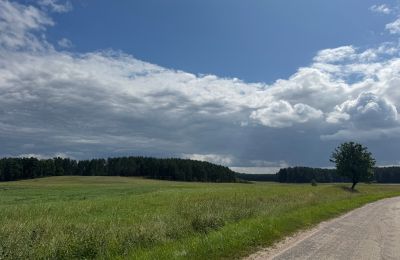 Landhaus kaufen Westpommern, Foto 24/26
