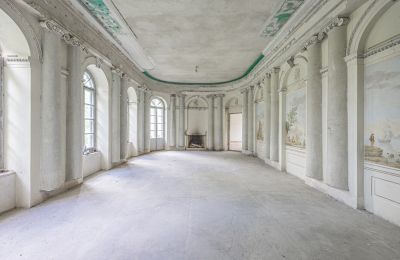 Schloss kaufen Luberadz, Masowien, Ballsaal