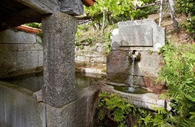 Historische Immobilie kaufen Gondomar, Galizien, Garten