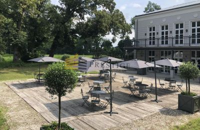 Herrenhaus/Gutshaus kaufen Ojrzanów, Pałac w Ojrzanowie, Masowien, Foto 9/18