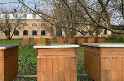 Herrenhaus/Gutshaus kaufen Ojrzanów, Pałac w Ojrzanowie, Masowien, Foto 14/18