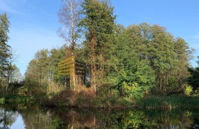 Herrenhaus/Gutshaus kaufen Ojrzanów, Pałac w Ojrzanowie, Masowien, Park