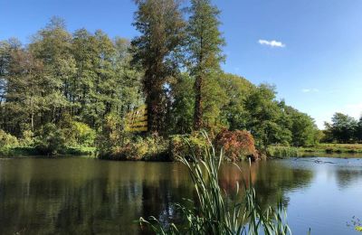 Herrenhaus/Gutshaus kaufen Ojrzanów, Pałac w Ojrzanowie, Masowien, Park