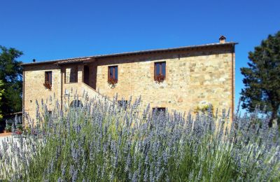 Landhaus kaufen 06062 Città della Pieve, Umbrien, Außenansicht