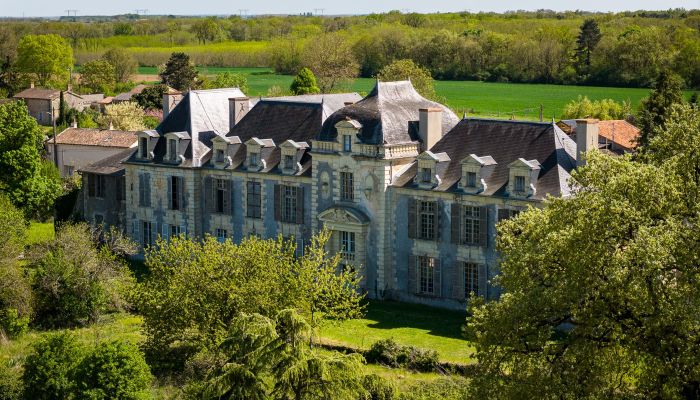 Château bei Thouars, Nouvelle-Aquitaine