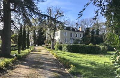 Herrenhaus/Gutshaus kaufen Pau, Neu-Aquitanien, Zufahrt
