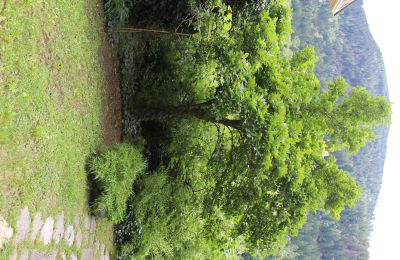 Historische Villa kaufen Faido, Tessin, Foto 29/44