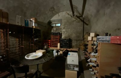 Historische Villa kaufen Faido, Tessin, Cantina vini