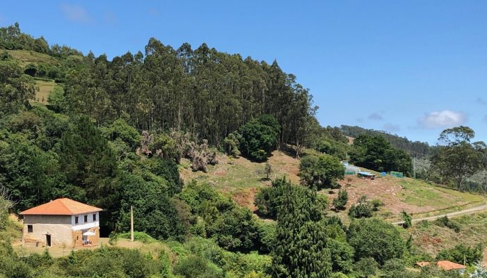 Landhaus kaufen Niévares, Asturien,  Spanien