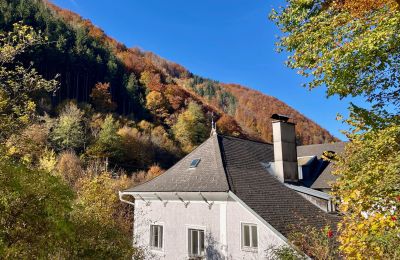 Historisk villa till salu Waidhofen an der Ybbs, Nedre Österrike, Bild 31/40
