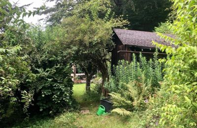 Historisk villa till salu Waidhofen an der Ybbs, Nedre Österrike, Bild 30/40