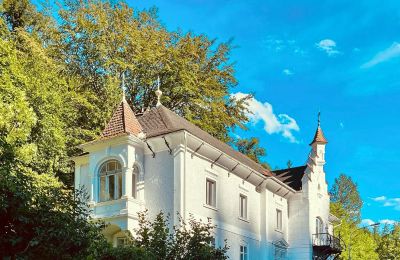 Historisk villa till salu Waidhofen an der Ybbs, Nedre Österrike, Bild 2/40