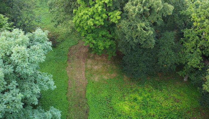 Historischer Park kaufen Iłowa, Lebus,  Polen