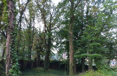 Historisk park till salu Iłowa, Kolejowa 11, województwo lubuskie, Bild 11/17