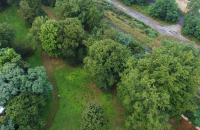 Historisk park till salu Iłowa, Kolejowa 11, województwo lubuskie, Bild 16/17