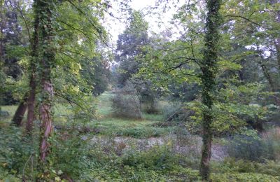 Historisk park till salu Iłowa, Kolejowa 11, województwo lubuskie, Bild 6/17