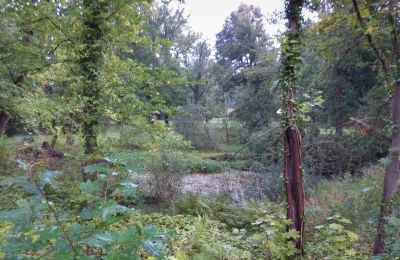 Historisk park till salu Iłowa, Kolejowa 11, województwo lubuskie, Bild 10/17