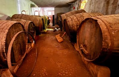 Stadtpalais kaufen Ribera, Roma 37, Sizilien, Weinkeller