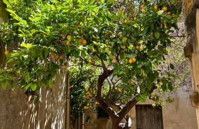 Stadtpalais kaufen Ribera, Roma 37, Sizilien, Cortile