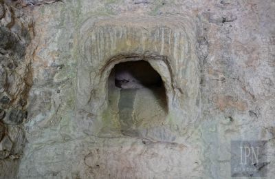 Mühle kaufen Cortona, strada provinciale 34, Toskana, Foto 15/35