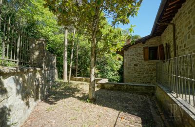 Mühle kaufen Cortona, strada provinciale 34, Toskana, Foto 5/35